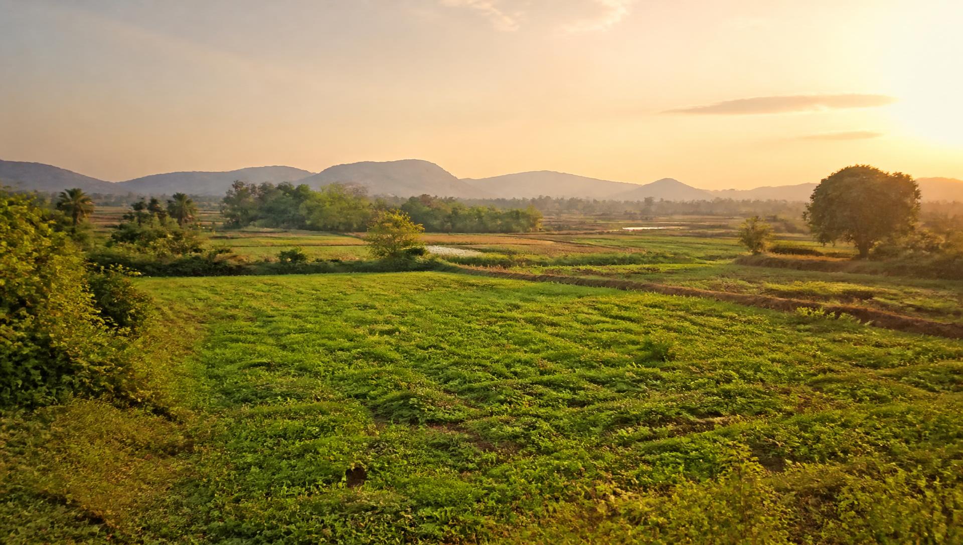 Own a Piece of Karnataka